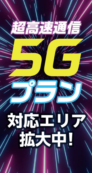 日本で使えるオンライン授業にも|テレワーク用wifi