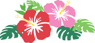ハイビスカス装飾画像