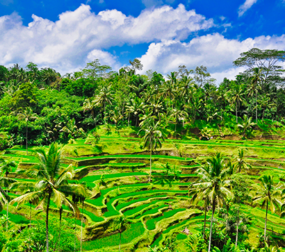 インドネシアの観光・WiFi事情